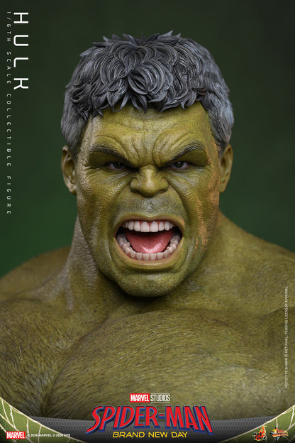 Hot Toys Hulk (Spider-Man: Brand New Day) 1/6 Scale Action Figure
