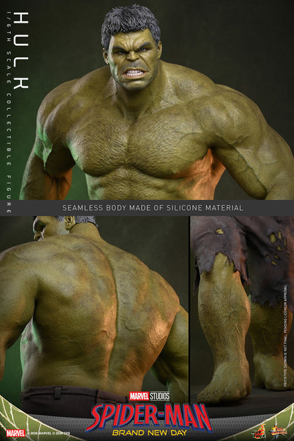 Hot Toys Hulk (Spider-Man: Brand New Day) 1/6 Scale Action Figure